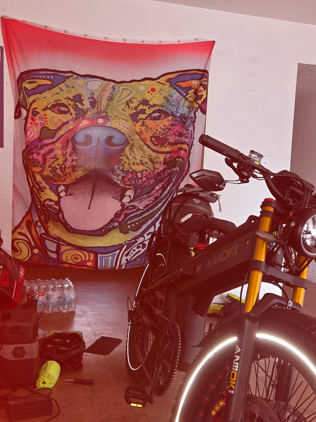 Customer photo review of A9 Pro Max Dual Motor 2.0 eBike
