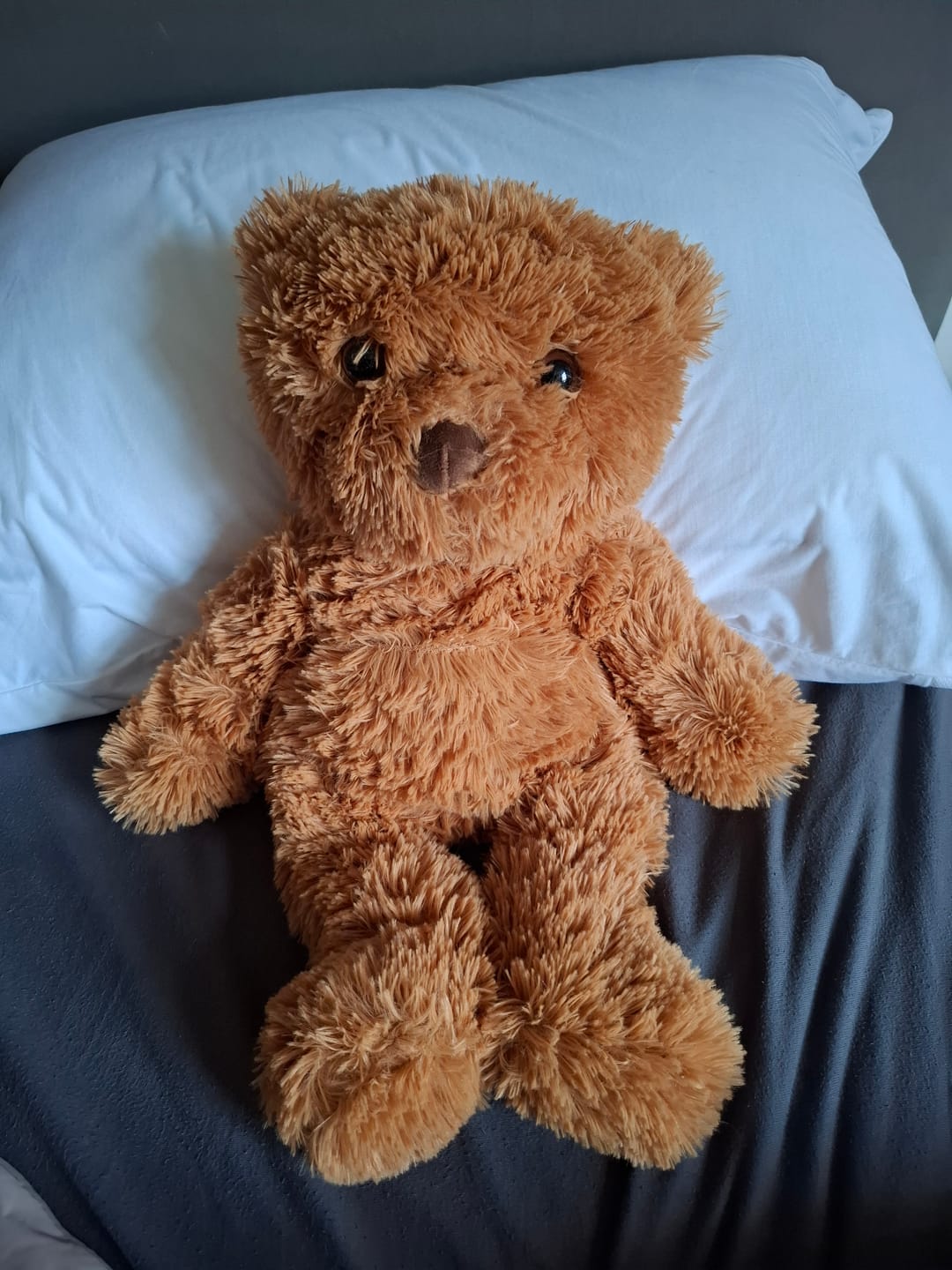 Customer photo review of Verzwaringsknuffel Teddy Beer 2,2 kg