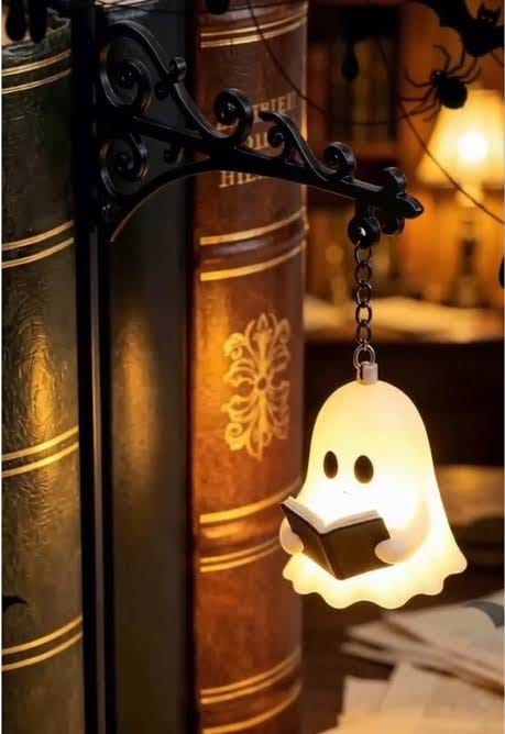 Customer photo review of The Library Lantern — Bookshelf Lamp