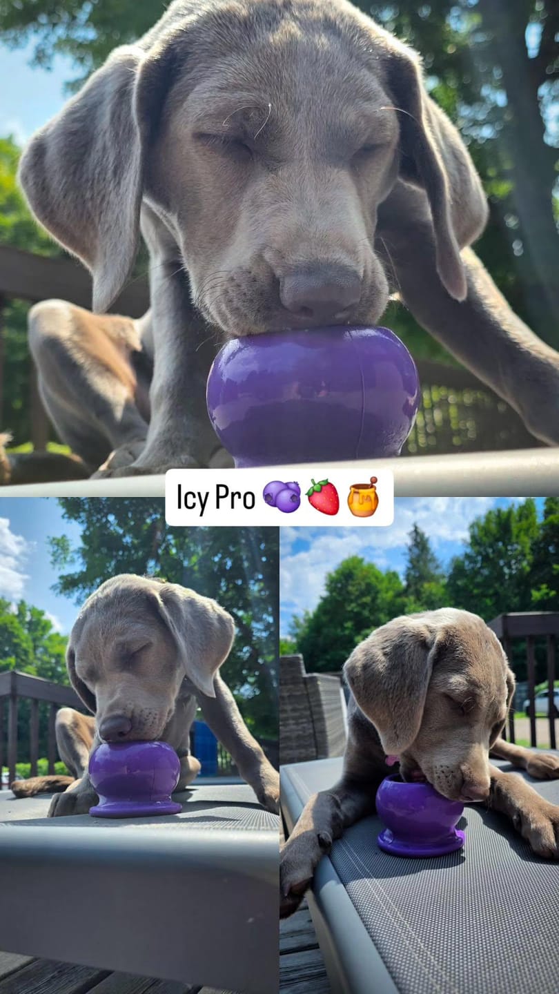 Customer photo review of FreezBall Bundle  - Starter Pack