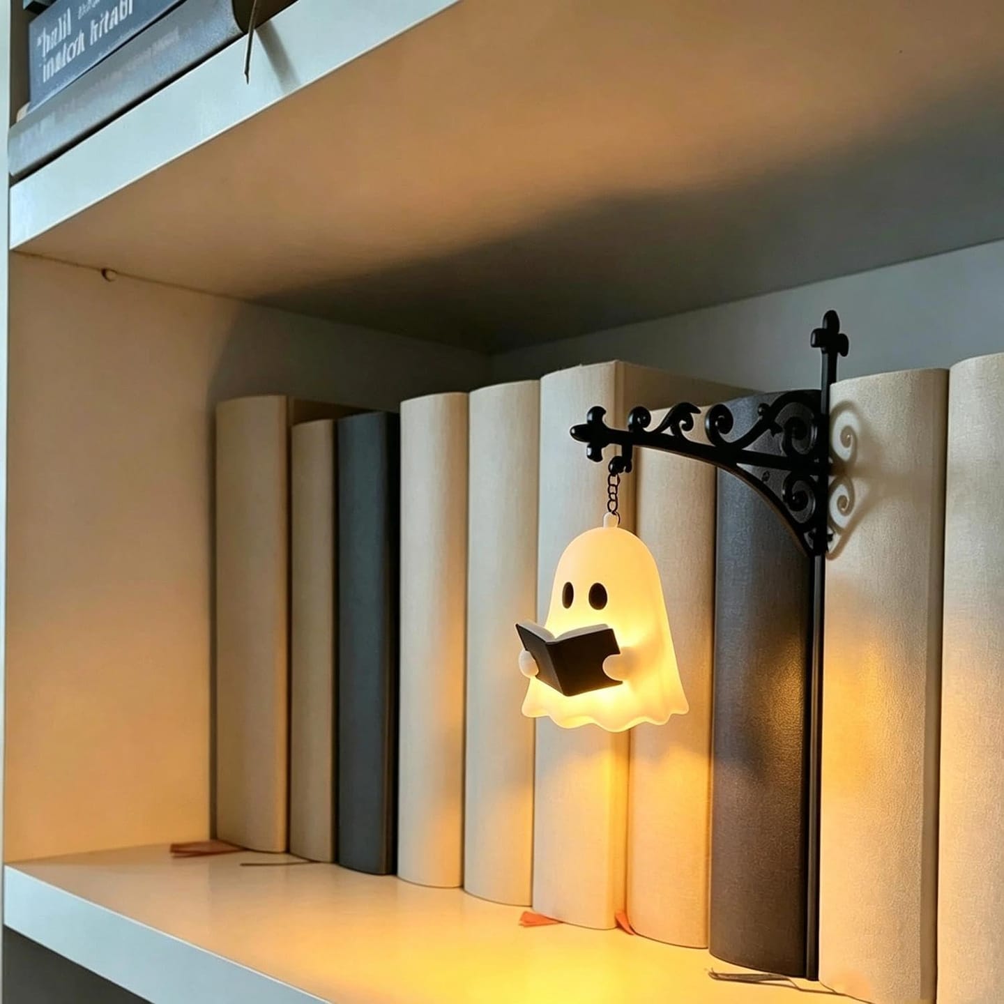 Customer photo review of The Library Lantern — Bookshelf Lamp