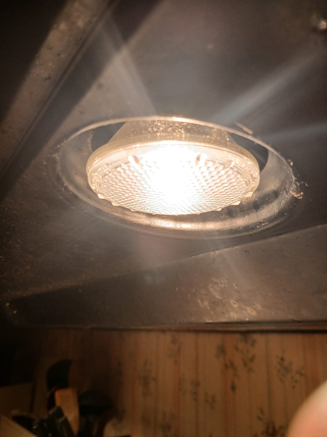 Customer photo review of 3-Pack / 6-Pack / 15-Pack Value PAR20 50W Halogen Bulbs – Dimmable 2700K Warm White, E26 Base for Recessed, Track, and Ceiling Lighting