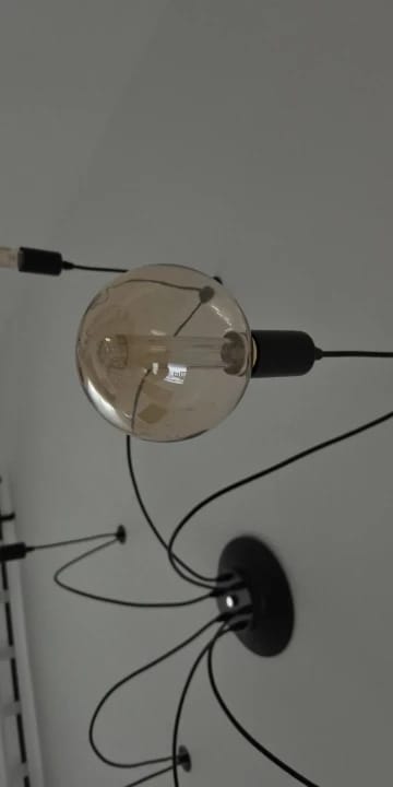 Customer photo review of Retro LED Edison Bulb 85V-265V E27 - Vintage Christmas Firework Decorative Lamp