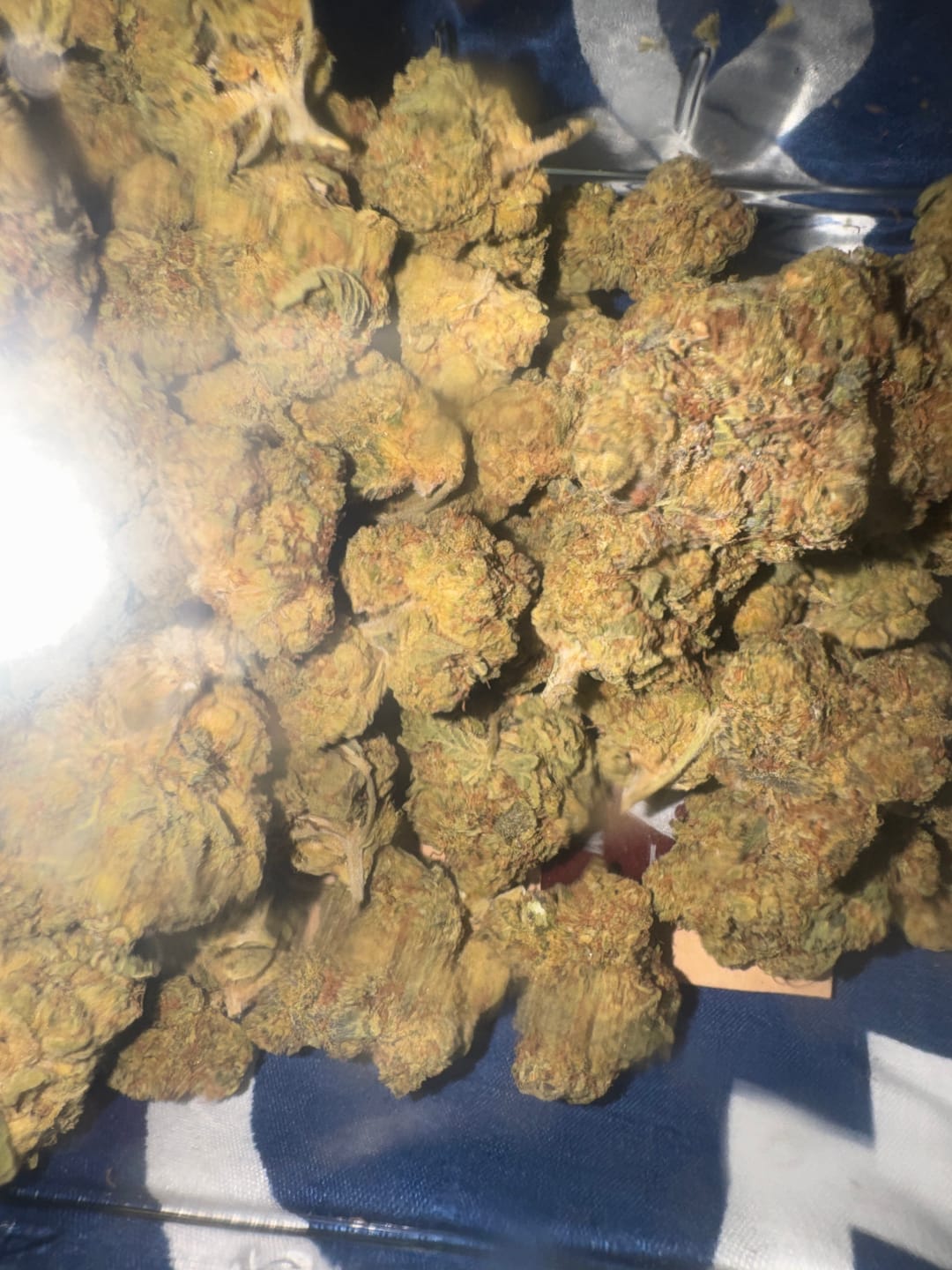 Customer photo review of Strawberry Gelato - Bulk - Hybrid