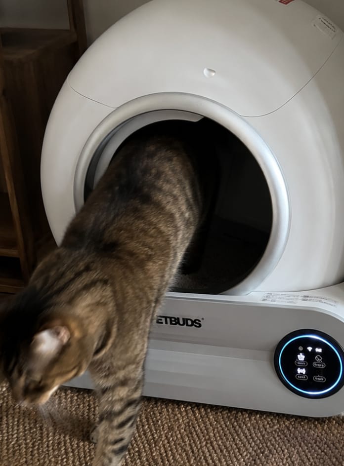 Customer photo review of Petbuds™ Pro 2026 Automatic Self-Cleaning Litter Box
