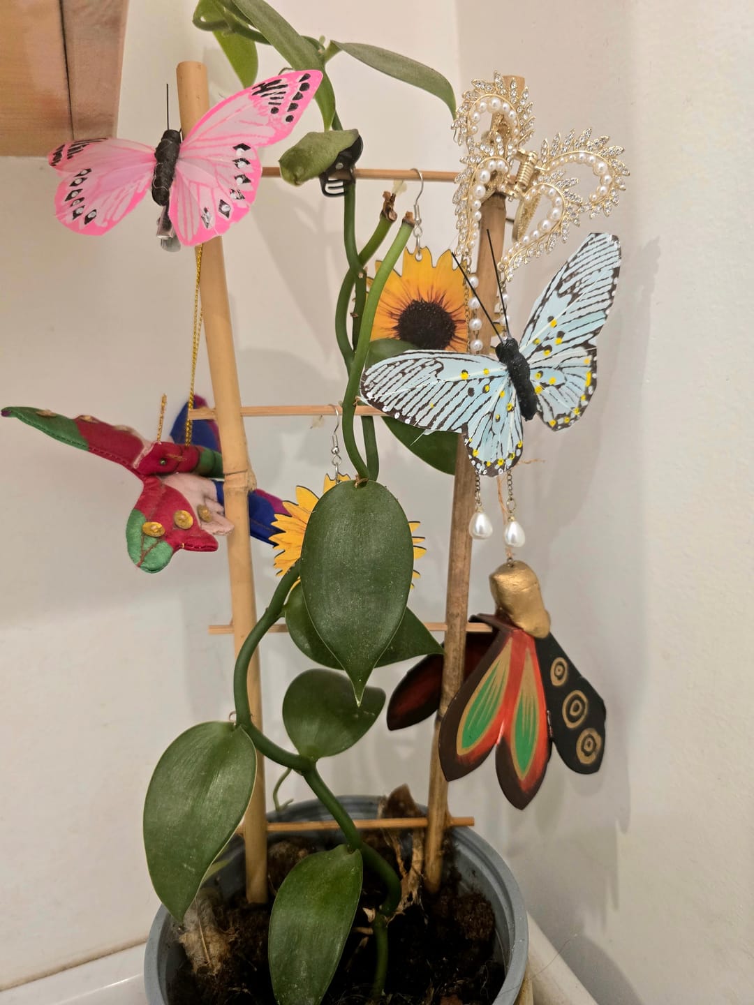 Customer photo review of Feather Butterfly Clip-on Decoration - 1 piece
