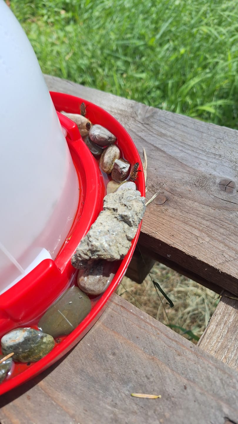 Customer photo review of Geflügeltränke »Plus« für Enten, Tauben, Gänse · 3,5l