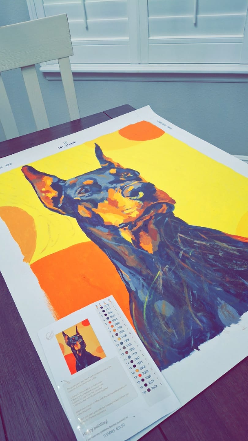 Customer photo review of Doberman | Paint by Number