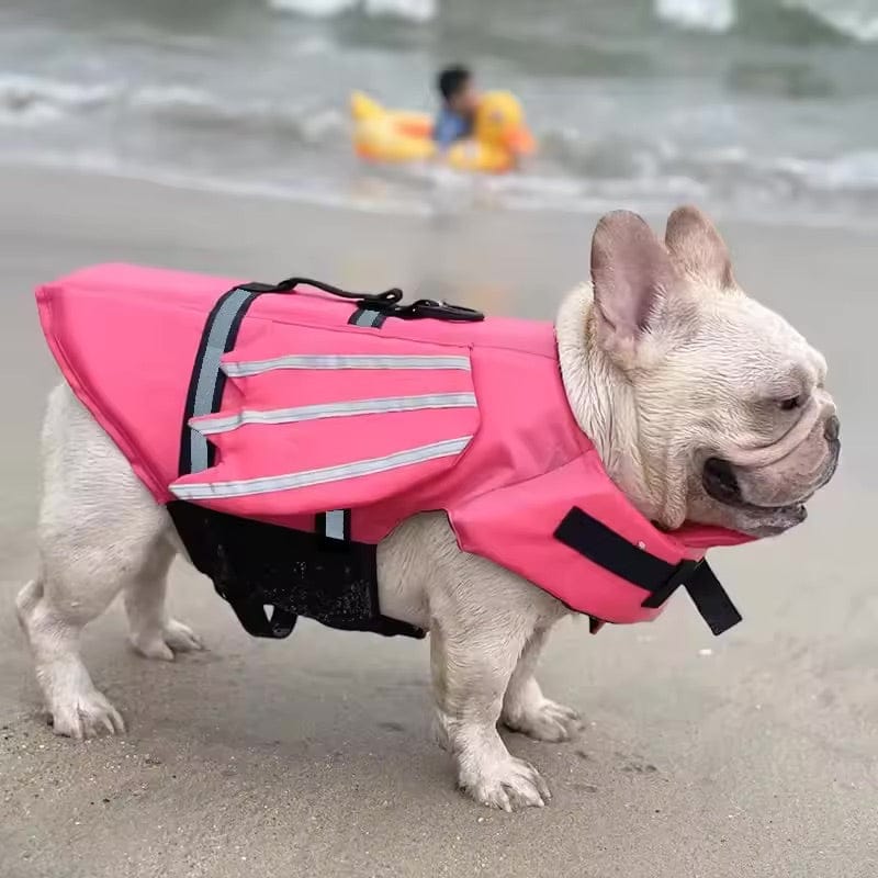 Customer photo review of Splash Paws™ Chin Float Life Jacket