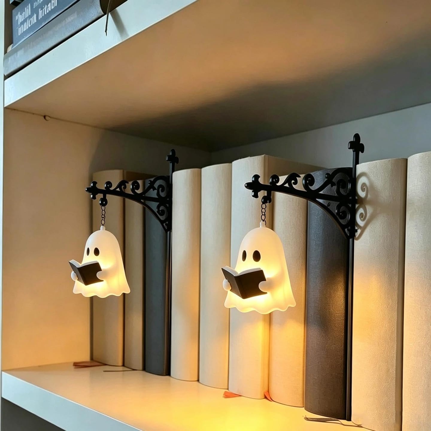 Customer photo review of The Library Lantern — Bookshelf Lamp
