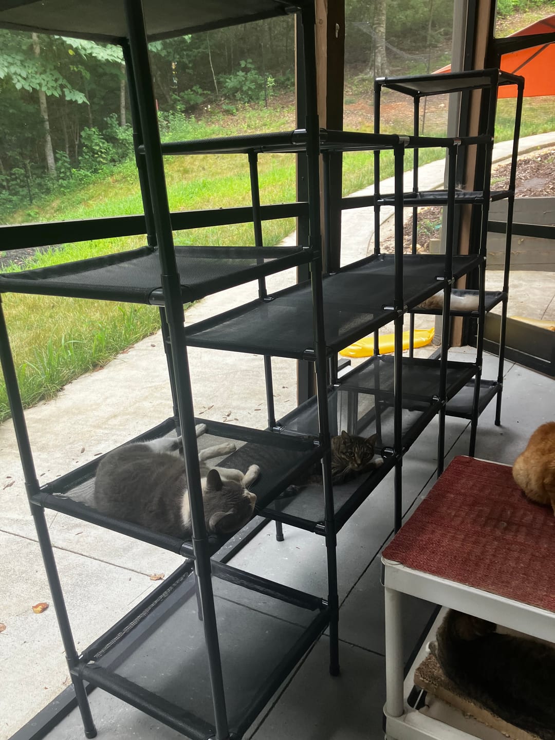 Customer photo review of Durable Cat Tower - Vista
