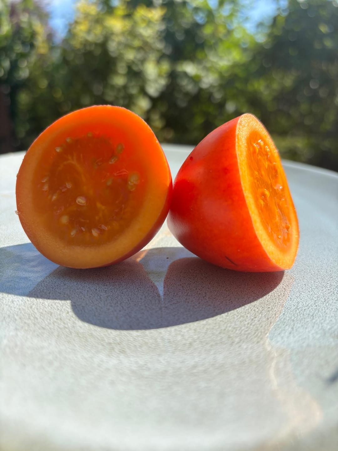 Customer photo review of Tamarillo (Tomate de Arbol)