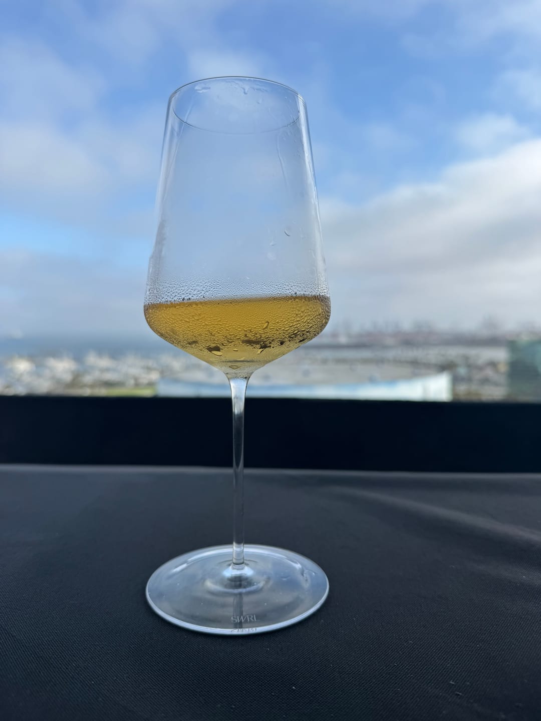 Customer photo review of Universal Glass