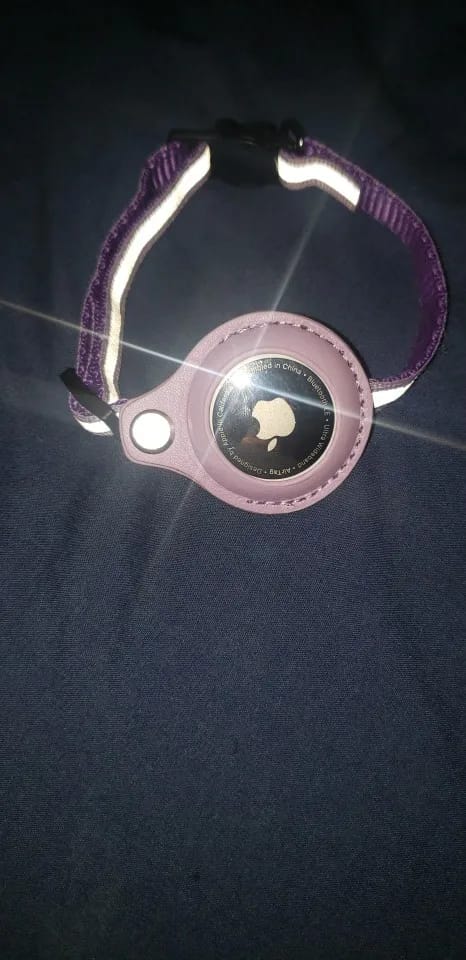 Customer photo review of WagWells AirTag Collar