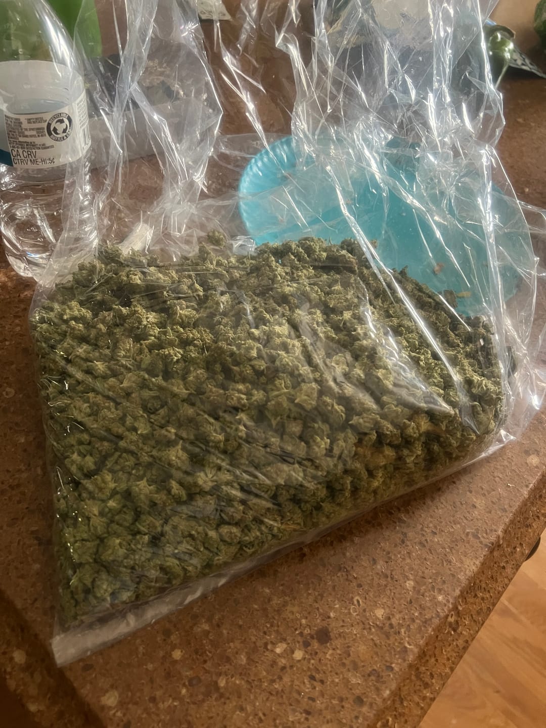 Customer photo review of Acapulco Gold - Bulk - Sativa