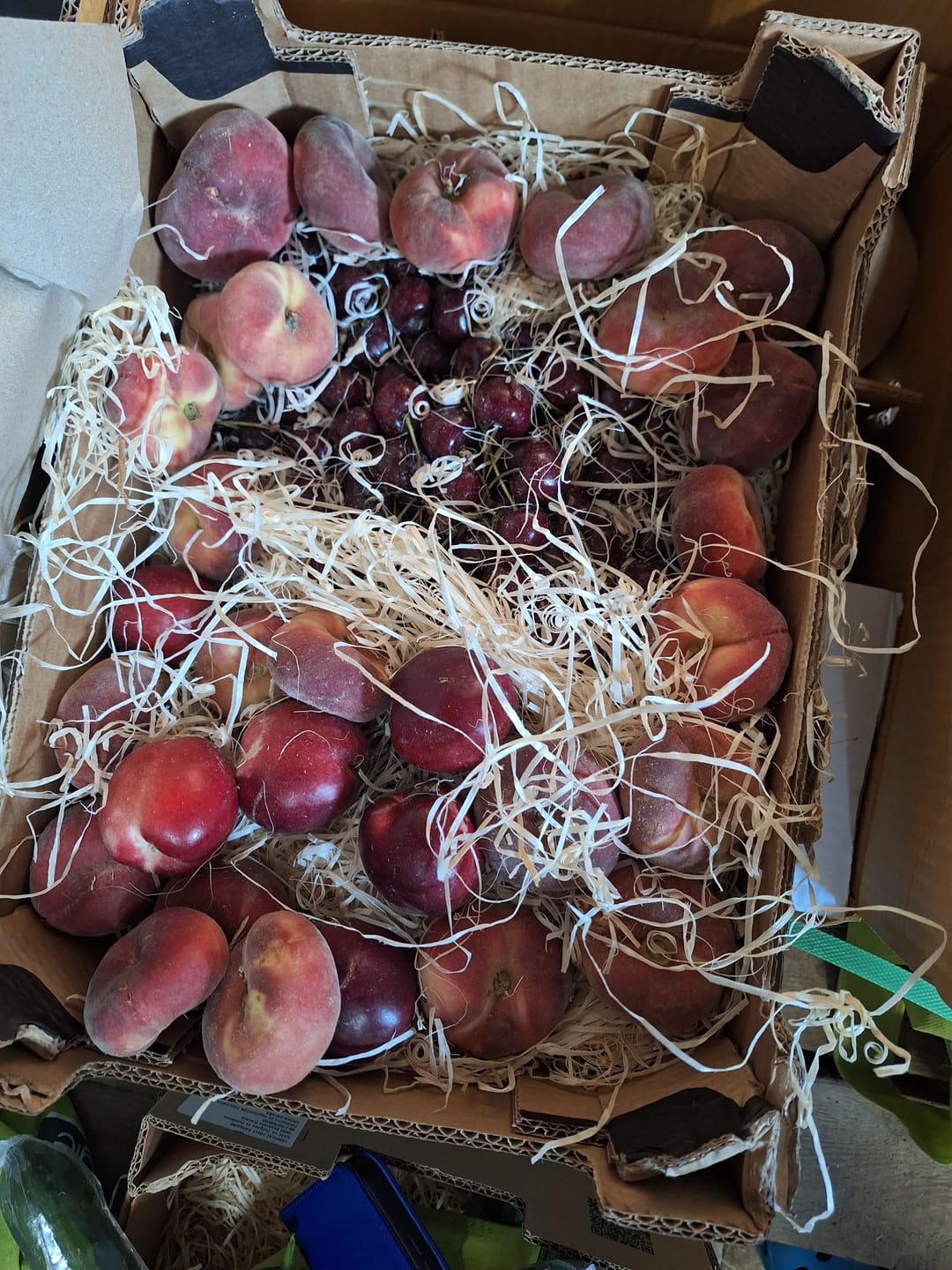 Customer photo review of Nektarinen Mix Bio von Jose Miguel 2,5kg Box