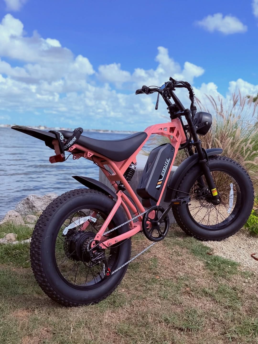 Customer photo review of Eskute® V200 20*4.0" Dirt Electric Bike for Kids&Teens