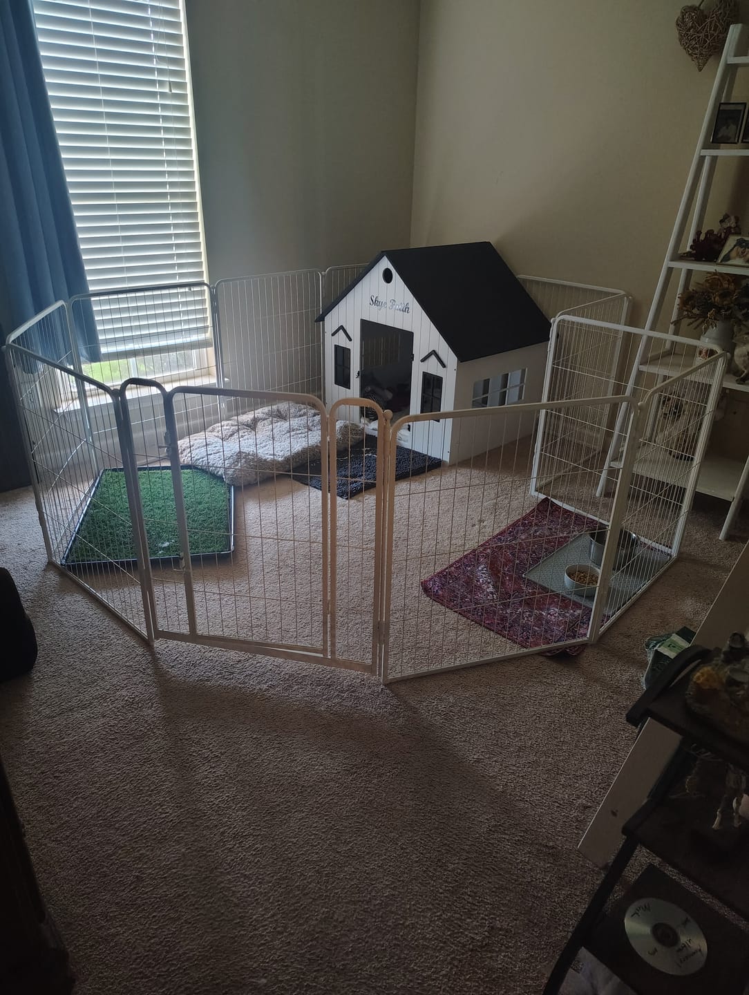 Customer photo review of Homeplus Dog Playpen for Indoor Use