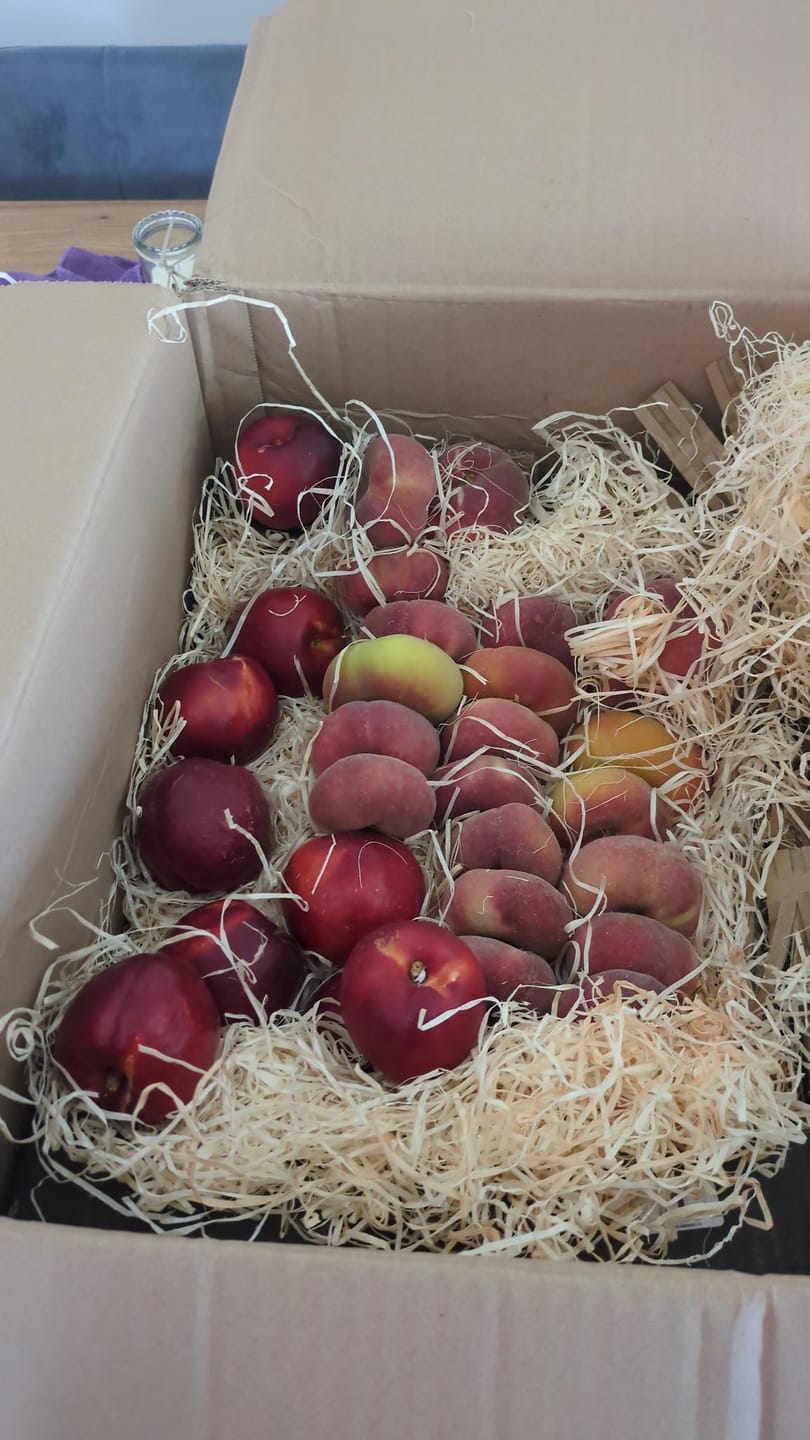 Customer photo review of Pfirsich & Nektarinen Bio von Jordi Retterbox 3kg