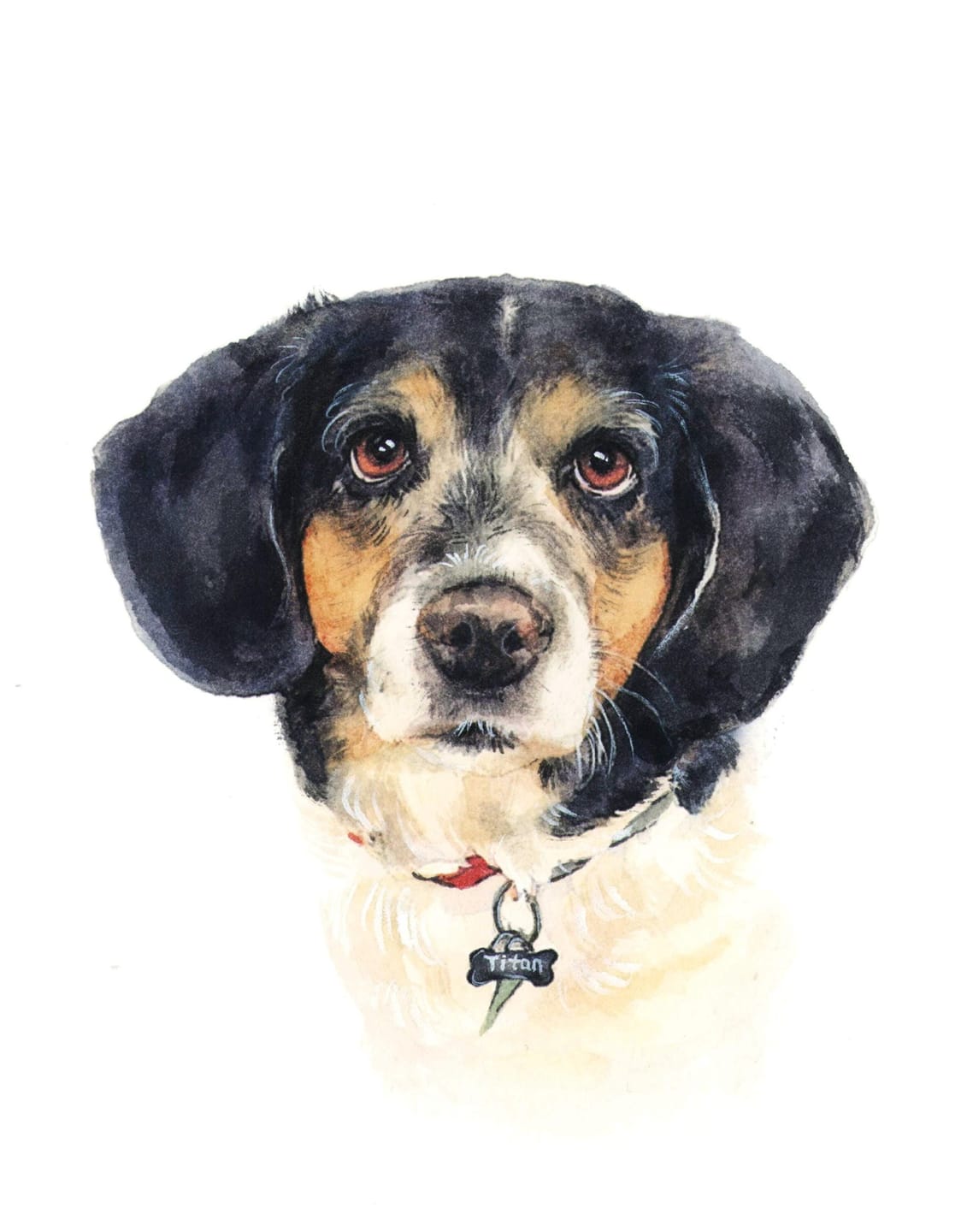 Customer photo review of Custom Hand Painted Dog Portrait Canvas