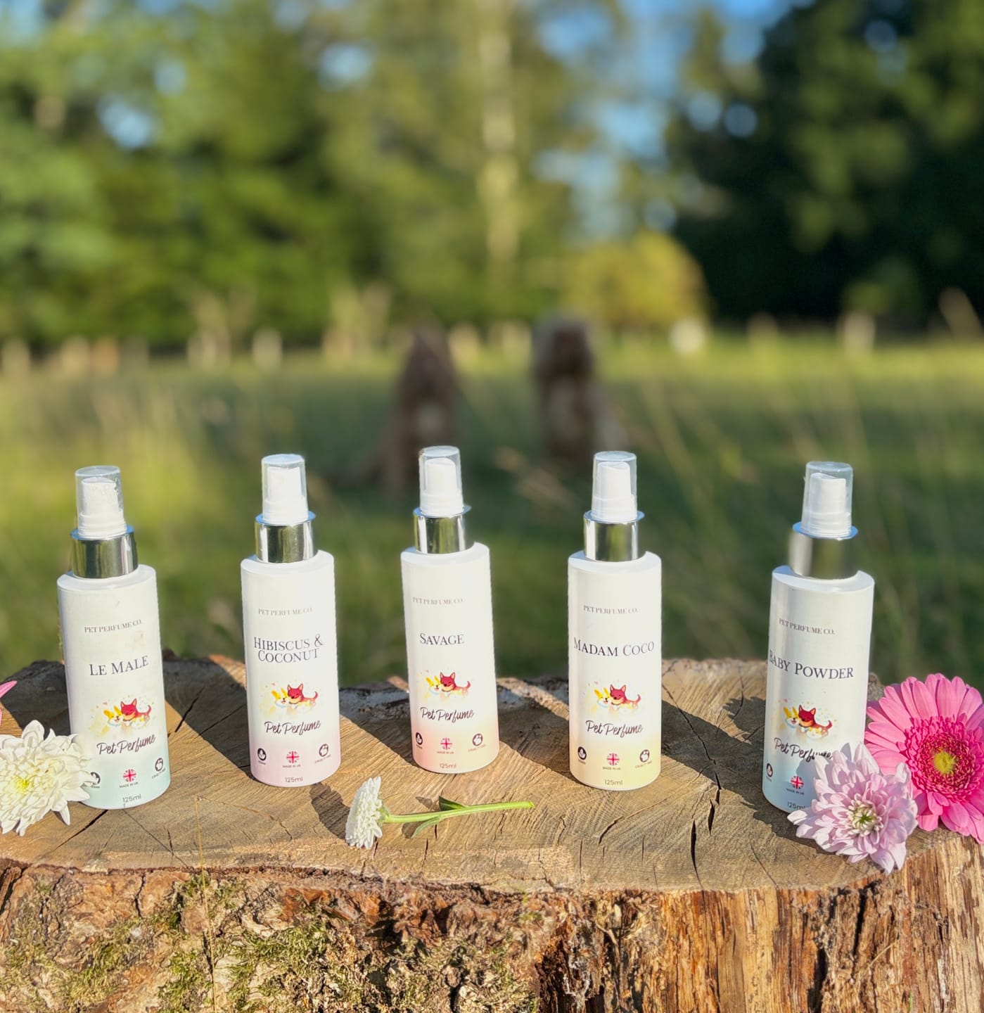 Customer photo review of Baby Powder Pet Perfume