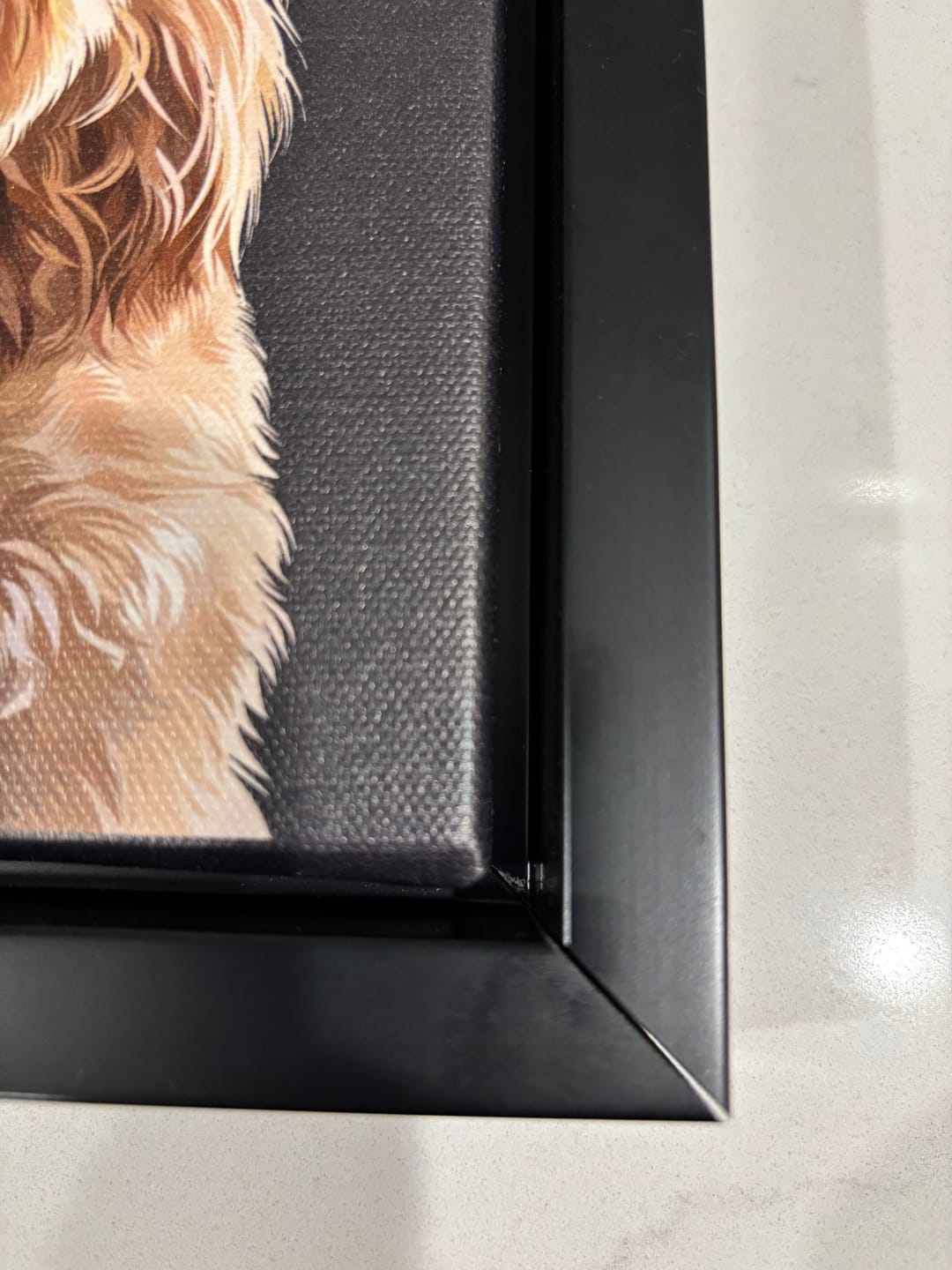 Customer photo review of Pet Art Canvas Wrap