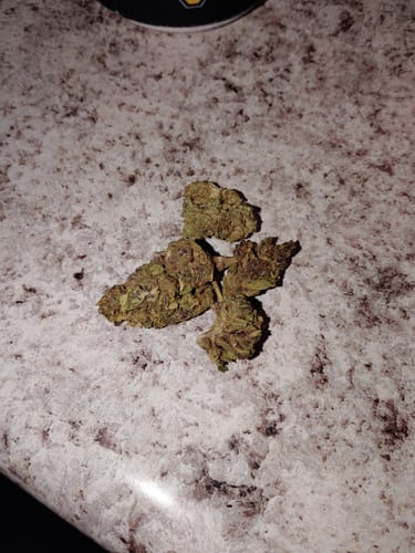Blackberry™ – Feminized CBD Seeds photo review
