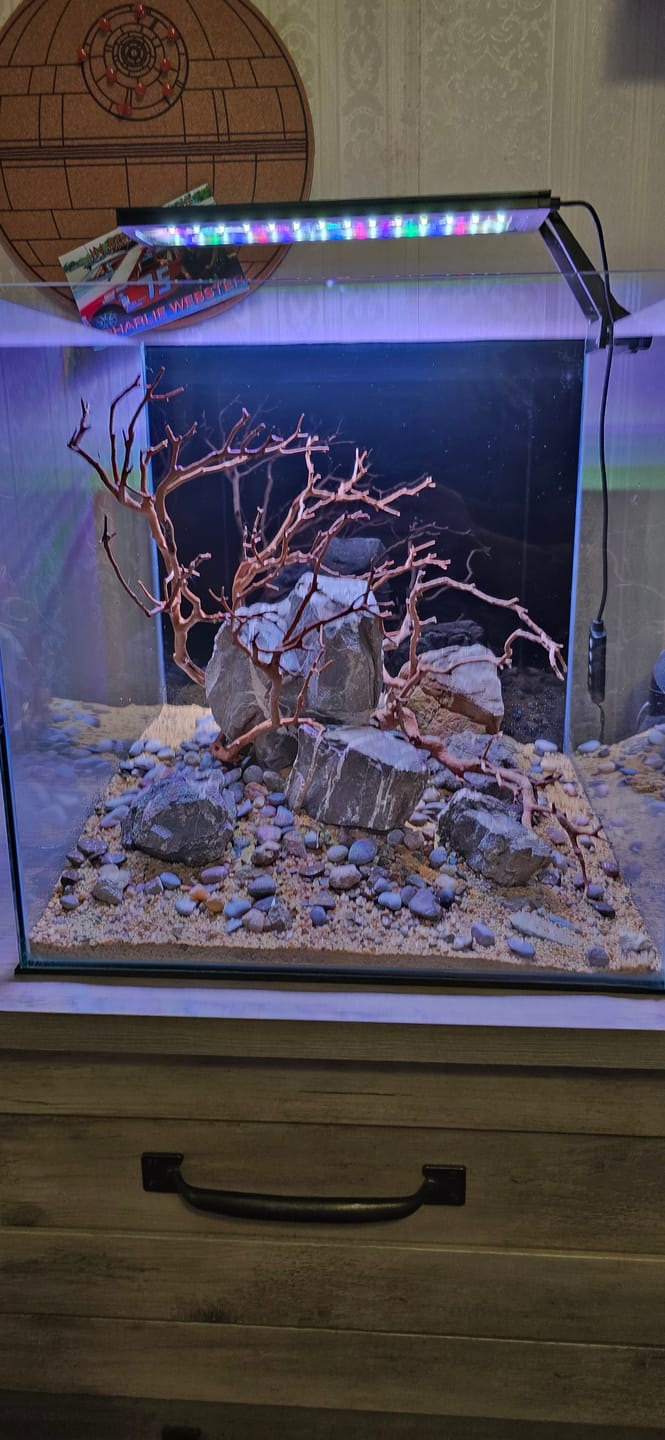 Customer photo review of WIO - Tan Savage Riverbed