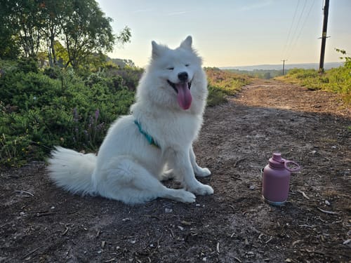 Customer photo review of 3-in-1 Portable Water Bottle
