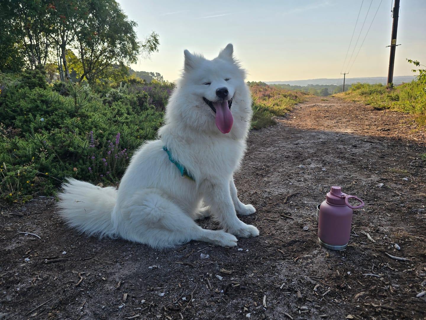 Customer photo review of 3-in-1 Portable Water Bottle
