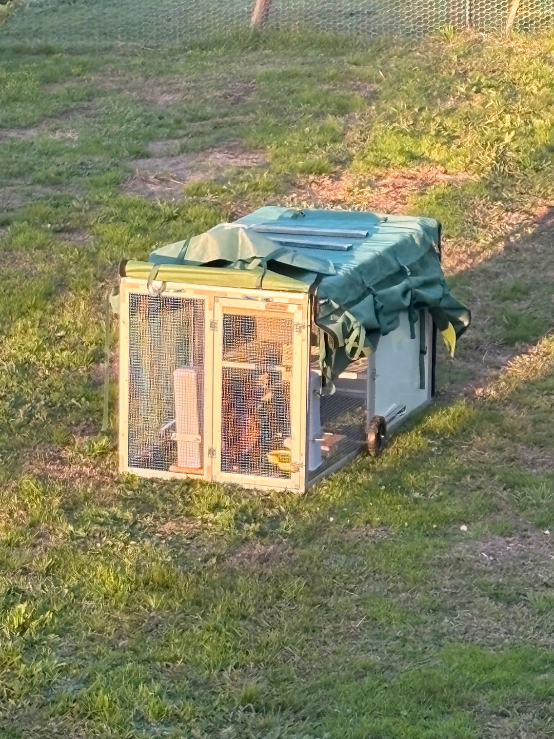 Customer photo review of Canvas Cover for Chicken Coop / Chicken Tractor