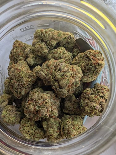 Customer photo review of Chrome Dome THCA Flower