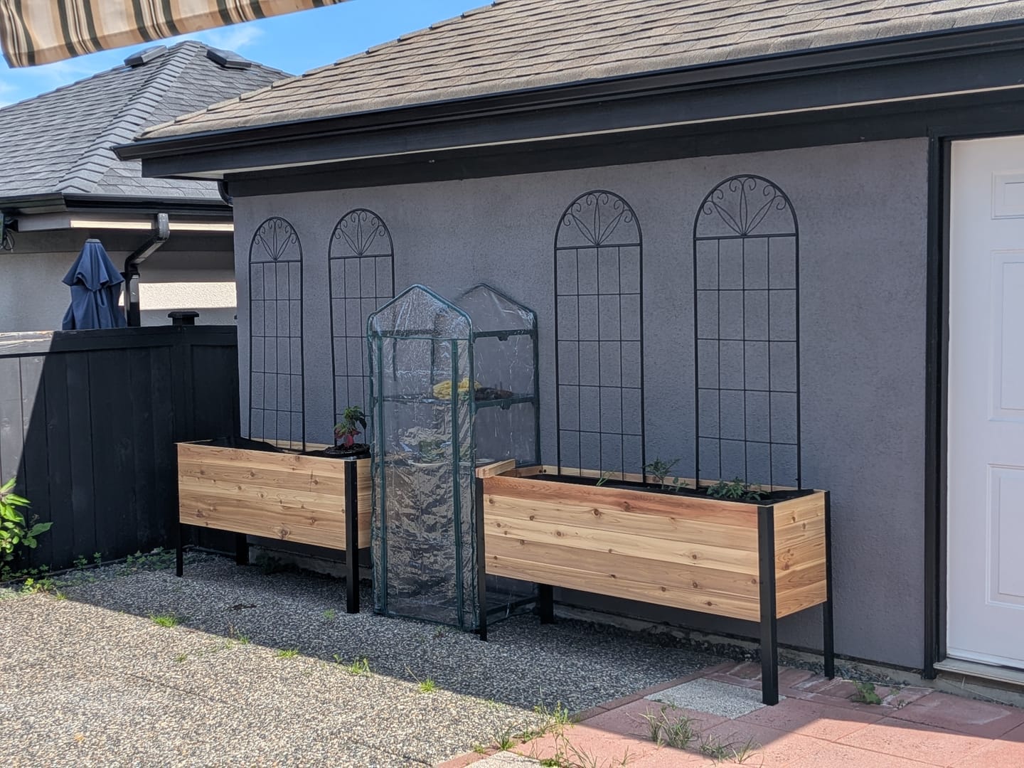 Customer photo review of 18" x 60" Raised Garden Bed - 30" TALL / Select Grade