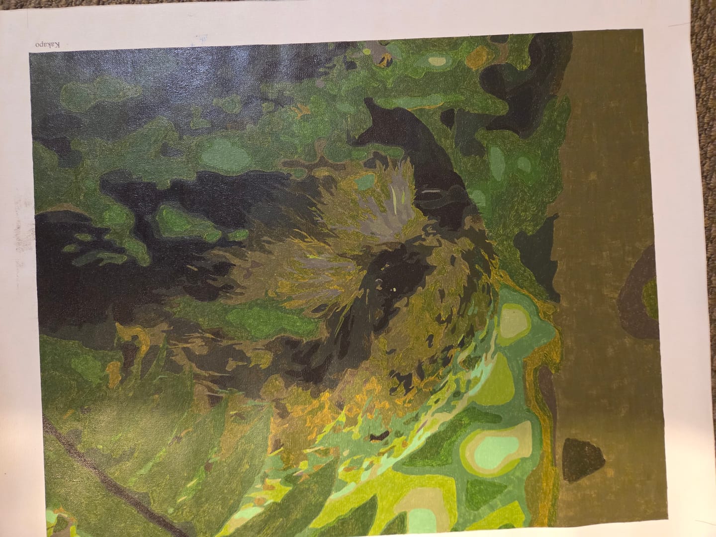 Customer photo review of Kakapo