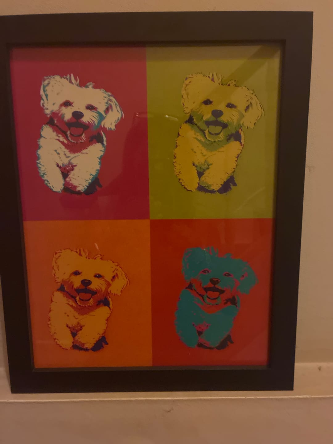 Customer photo review of Personalised Poster With Dog or Cat - Colour Squares