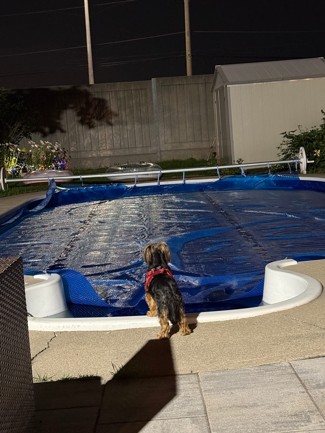 Customer photo review of Custom Solar Blankets