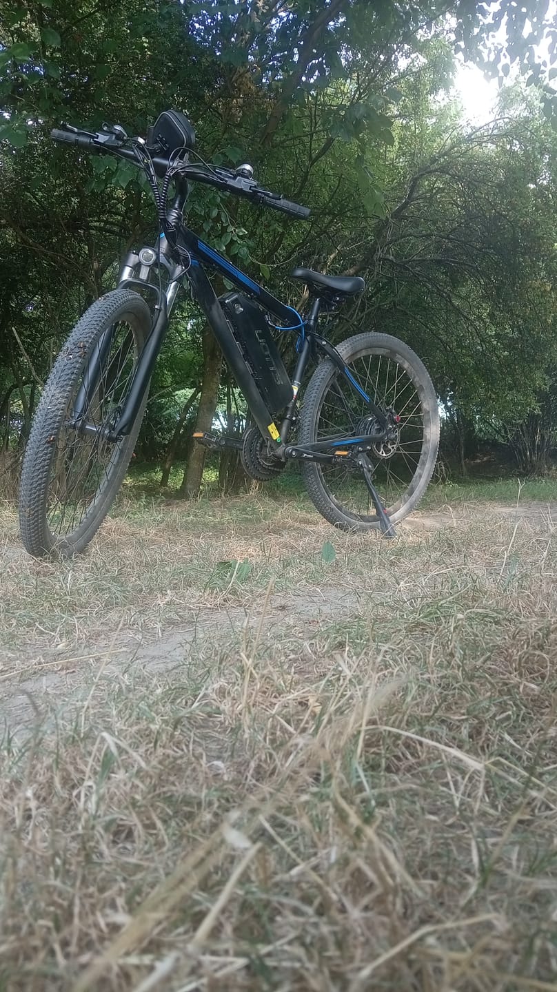 Customer photo review of DUOTTS C29 Electric Bike