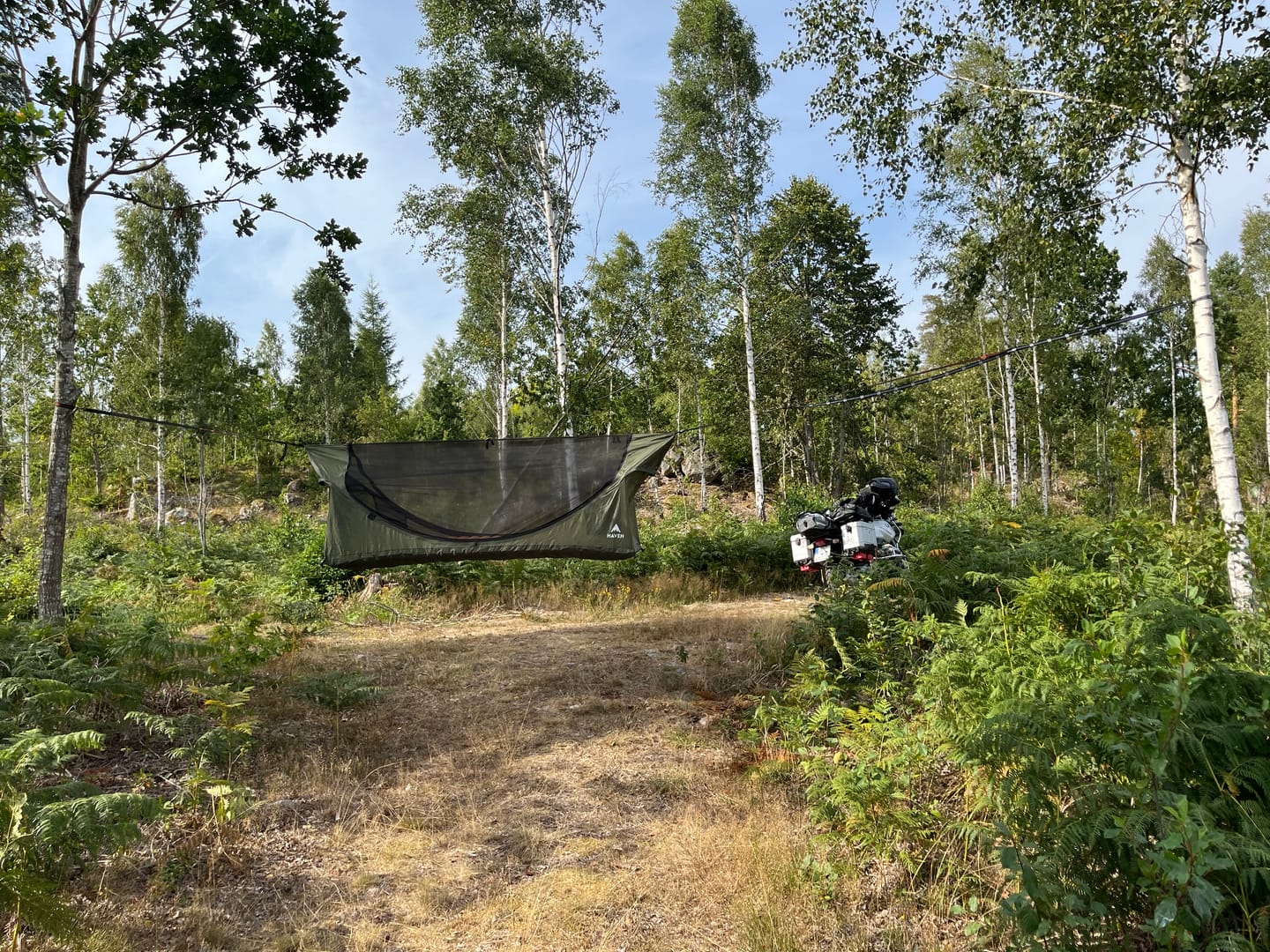 Customer photo review of Haven XL