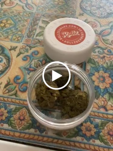 Customer video review of California Love THCA Flower
