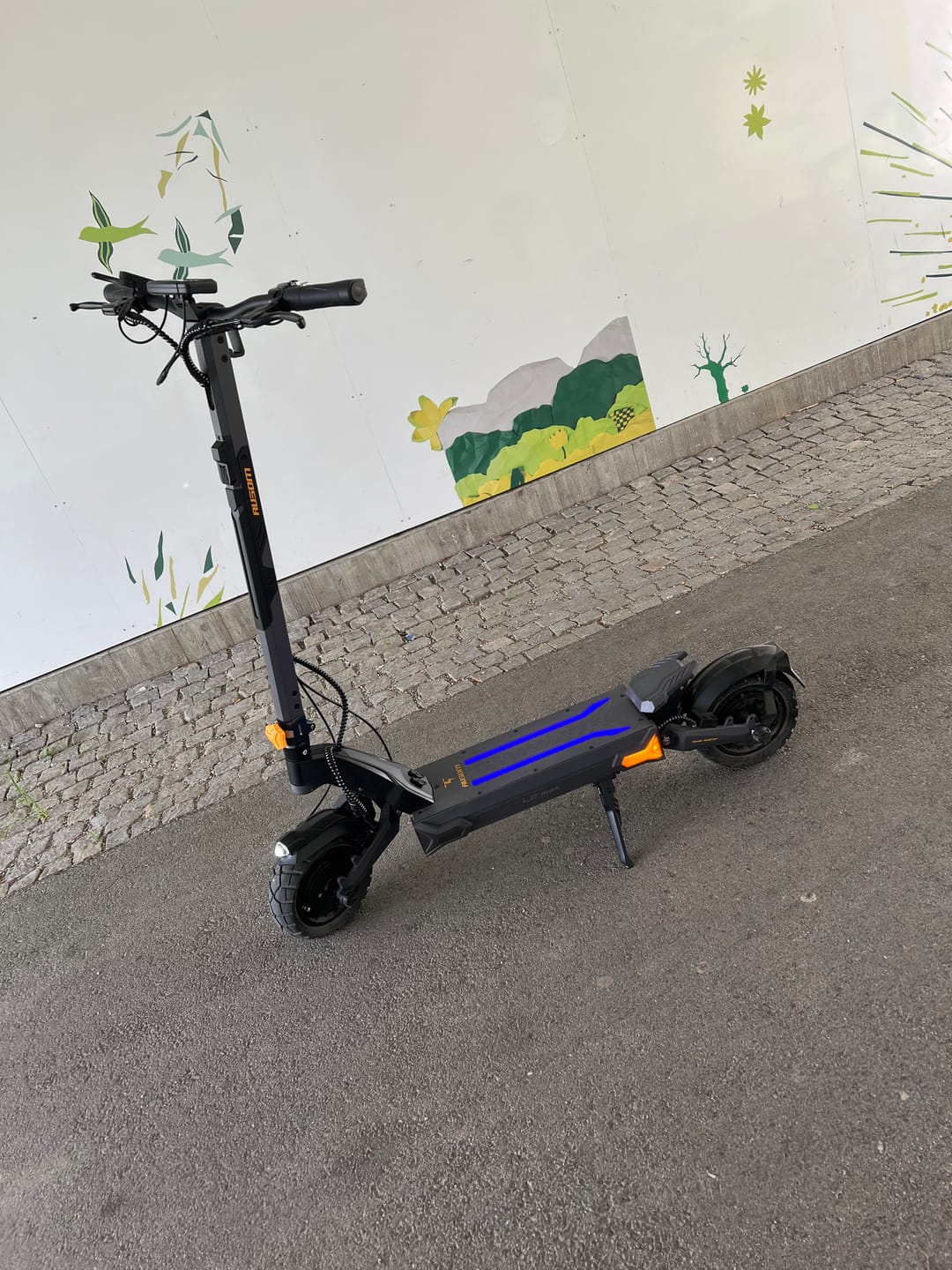 Customer photo review of Ausom L2 Max Dual Motor E-scooter