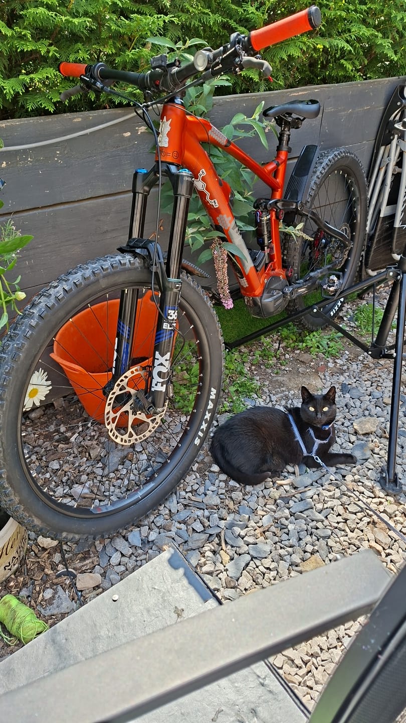 Customer photo review of Maxxis Minion DHR II 3C Maxx Terra EXO TR 27.5" Tyre