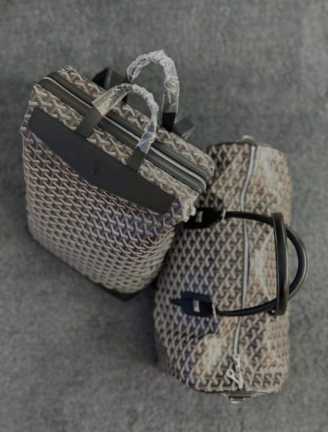 Customer photo review of Goyard Cisalpin Backpack