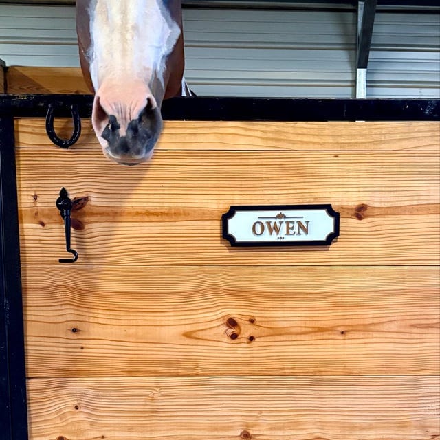 Customer photo review of The Marquee, Gold on White — Personalized Horse Stall Name Plate