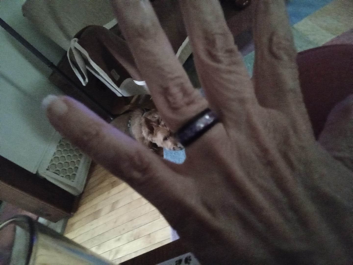 Customer photo review of FREE Today: Galaxy Elegant Blue & Purple Starry Sky Floral 8mm Stainless Steel Ring