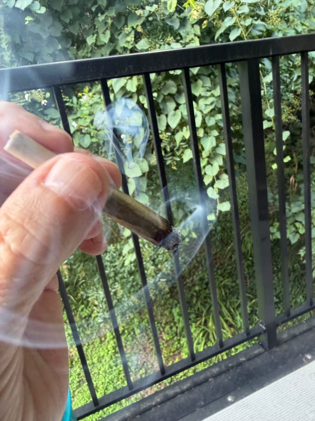 Customer photo review of 25 Pre-Rolls | 12.5G Total | Limited Stock