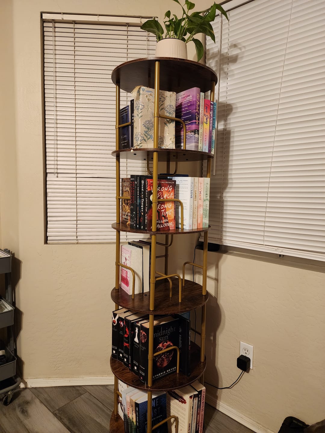 Customer photo review of Flycity 3-5 Tier Rotating Bookshelf With 360° Spinning Display