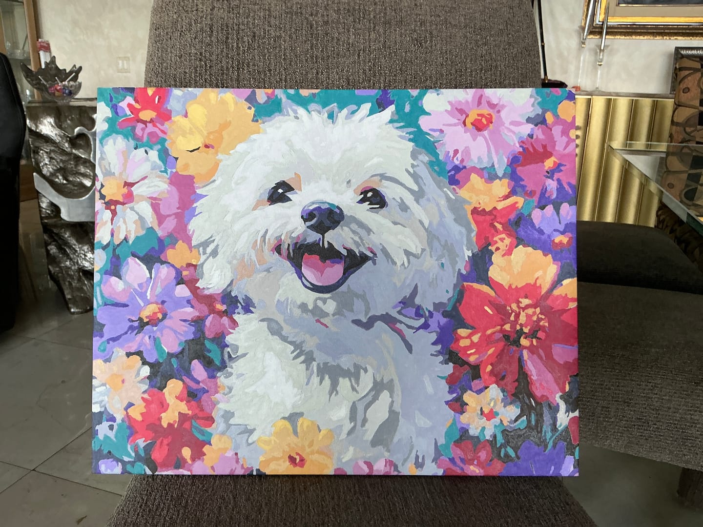 Customer photo review of Bichon Frise