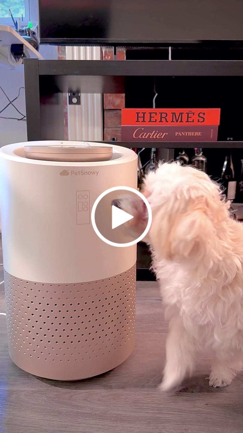 Customer video review of Pet Air Purifier