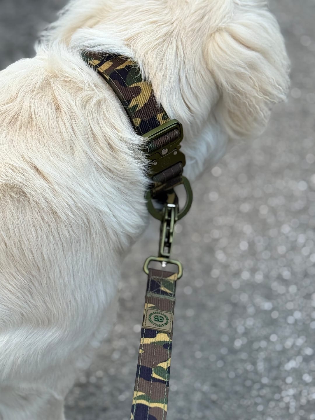 Customer photo review of 1.2m Mini Combat® Leash - Camouflage Green