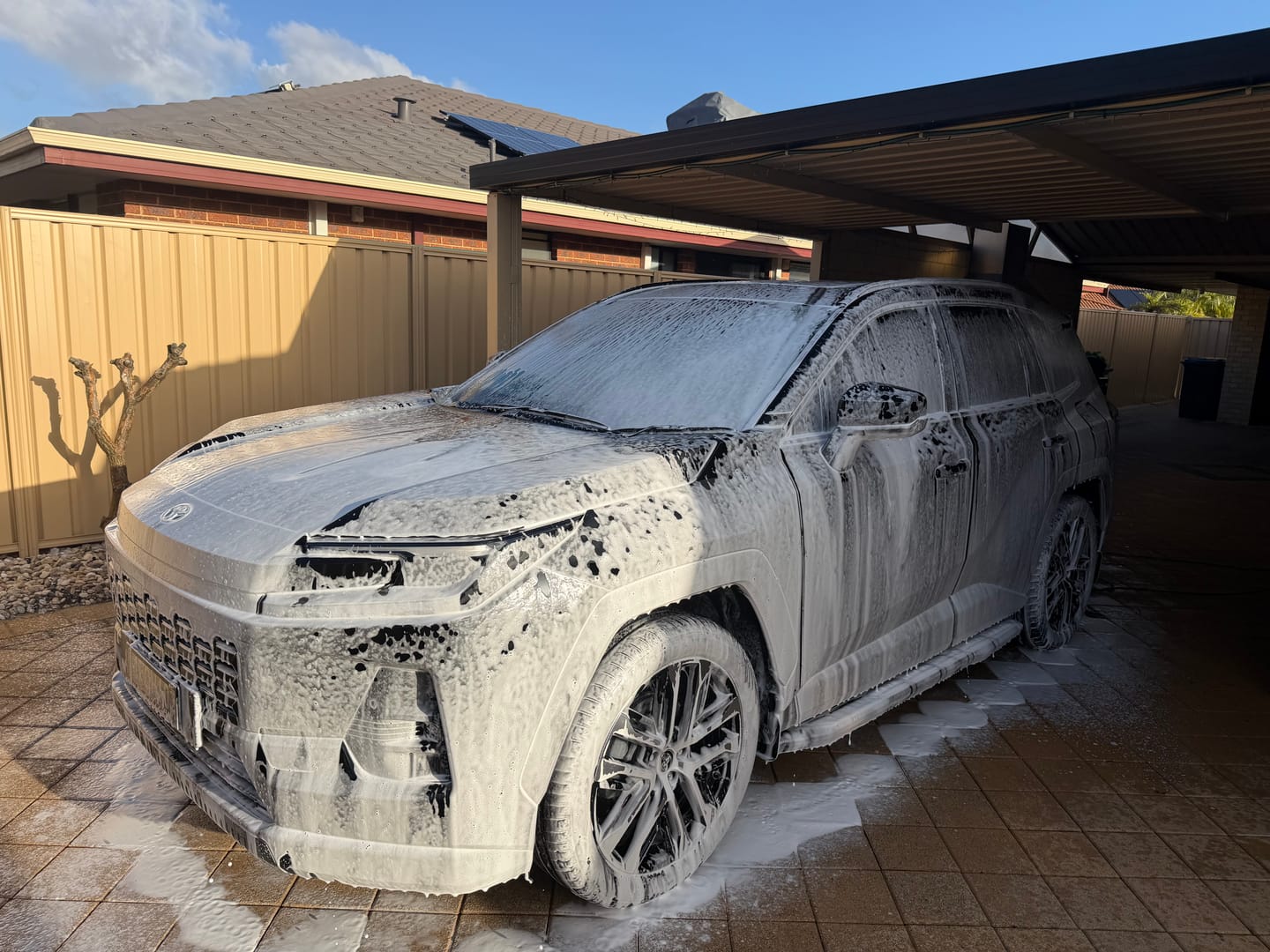 Customer photo review of Foam Wash Concentrate 1L